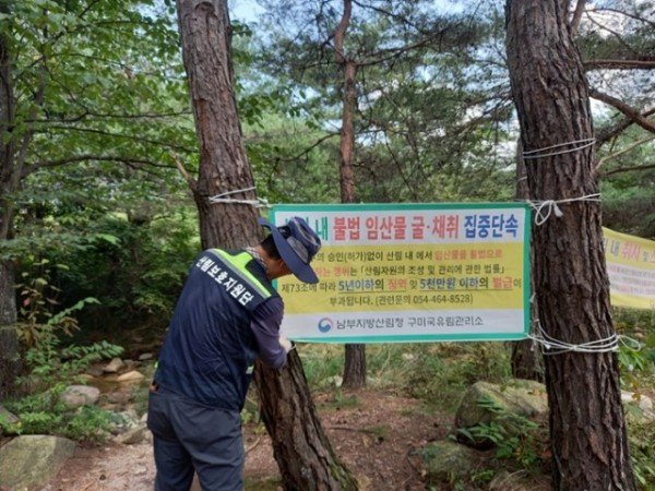 구미국유림관리소_현수막설치광경사진 (1).jpg