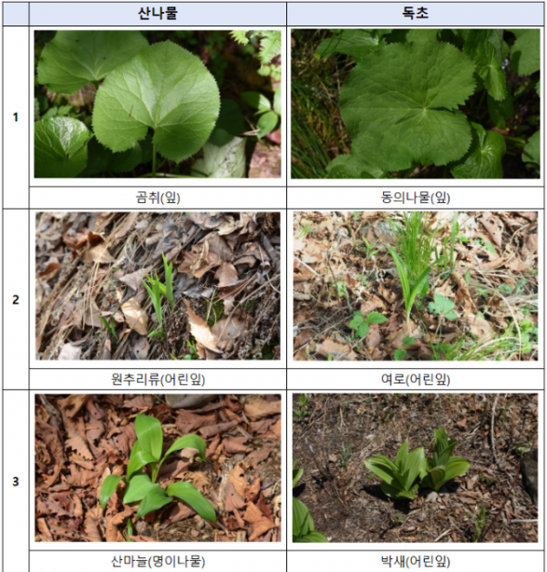 스크린샷 2024-03-14 102009.png