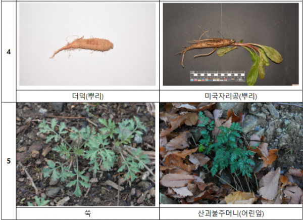 스크린샷 2024-03-14 102026.png