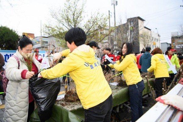 [산림과] 반려나무 나누어주기 행사 4.JPG