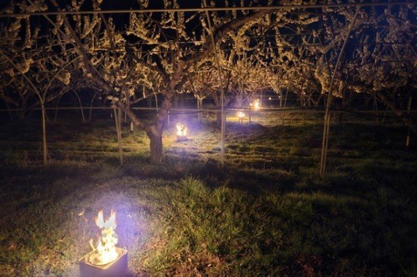 영주-1-3 10m 간격으로 설치돼 연소되고 있는 고체연료 모습.jpg