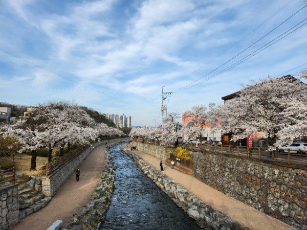 [하천과] 금오천.jpg