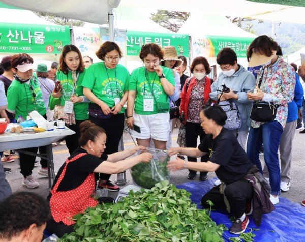 1-3 사진(축제의 달, 5월 영양군 바가지논란 잡기 위한 파란!).hwp.jpg