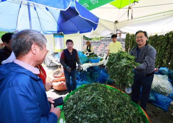 1-10 사진(제19회 영양산나물축제 성황리 마무리).jpg