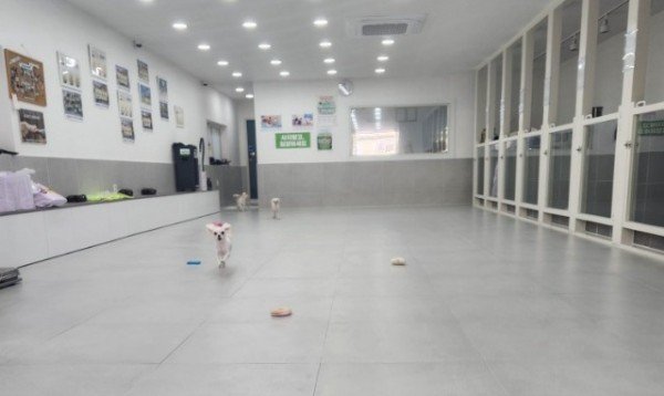 [축산과] 입양센터.jpg