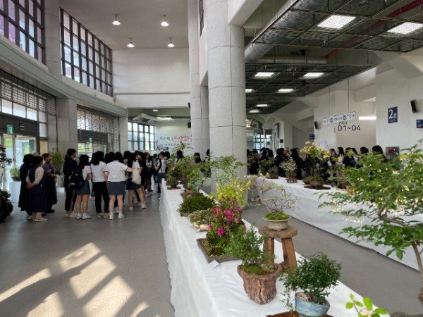 [기술개발과] 봄 야생화 전시 2.JPG