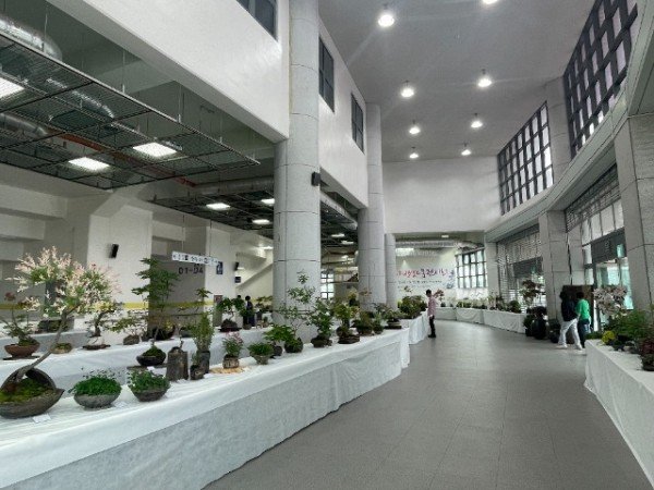 [기술개발과] 봄 야생화 전시 1.JPG