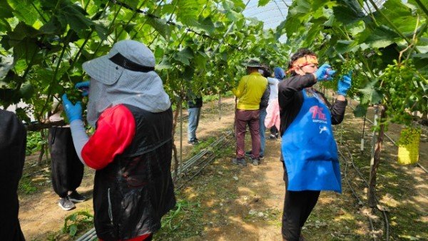 [기술개발과] 알솎기 교육 2.jpg