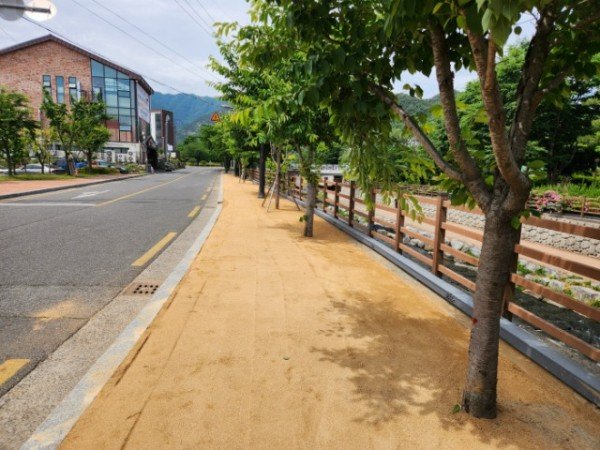 [하천과] 산책로 흙길 정비 1.jpg
