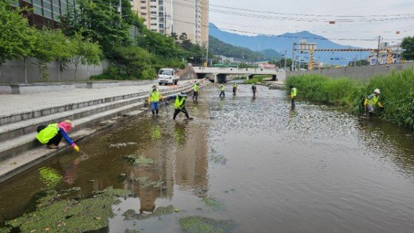 [하천과] 금오천 이끼 제거 1.jpg