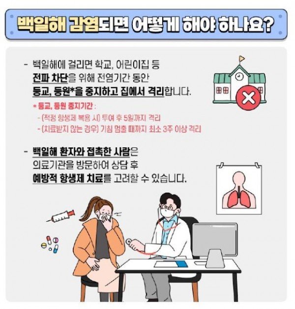 [감염병관리과] 백일해 예방 수칙 홍보물 2.JPG