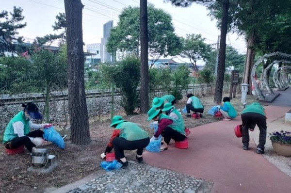 영주-8 하망동 새마을부녀회원들이 원당로수목원 잡초제거를 하고 있다.jpg