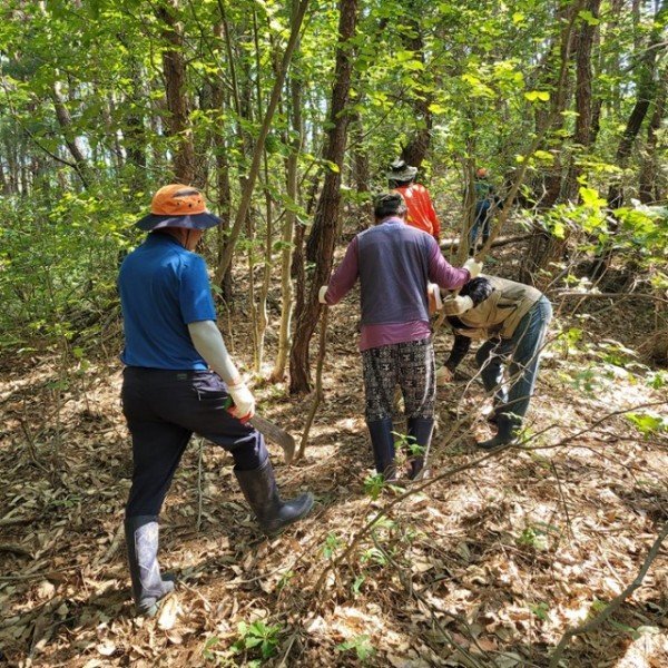 0620 삼태사 둘레길  새로운 모습으로 다시 태어나다! (2).jpg