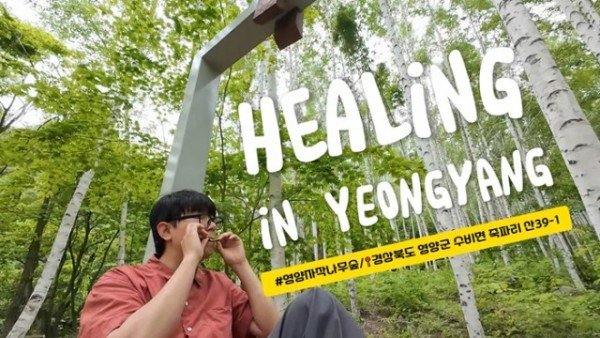 2-4 사진(영양군 기초자치단체 브랜드 평판 154계단 껑충) (2).jpg