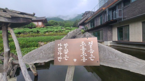 j_6cbUd018svc1y2c0r1mx3np2_tg3zvl.jpg