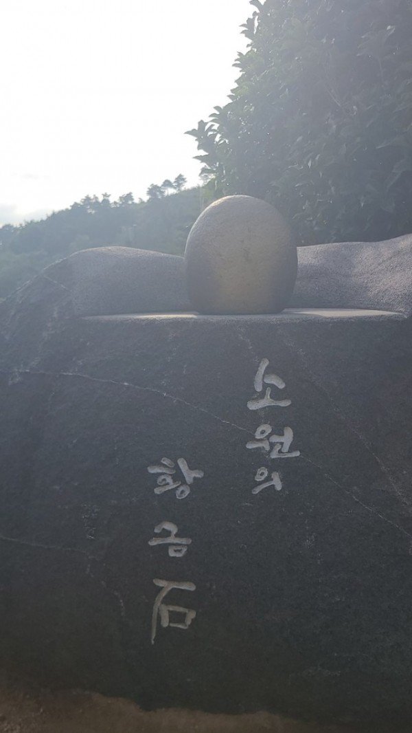 5_5ccUd018svc1nv6goj4waell_tg3zvl.jpg