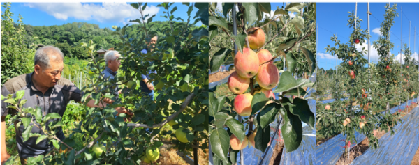 스크린샷 2024-09-23 092304.png