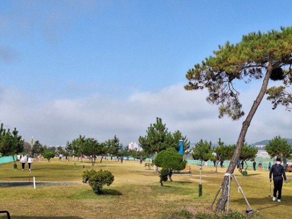 1101 ‘제1회 안동시·한국경제TV배 전국파크골프대회’ 개최 (2).jpg