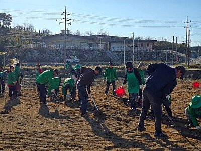 08의성군제공 단밀면 튤립정원2.jpg