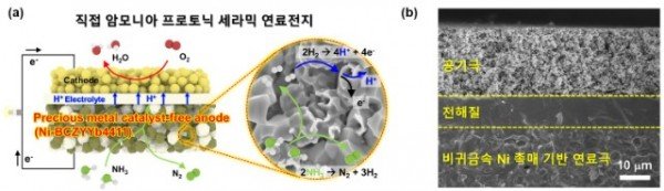 3. 연구 관련 그림.jpg