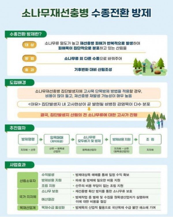 0325 소나무재선충병 극복 위한 ‘수종 전환 방제’ 본격 추진 (1).jpg