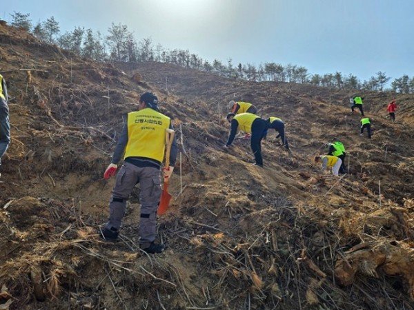 0325 소나무재선충병 극복 위한 ‘수종 전환 방제’ 본격 추진 (2).jpg