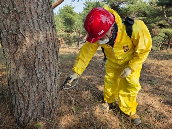 5. 소나무재선충병 방제활동(약제주입)_국립산림품종관리센터.jpg