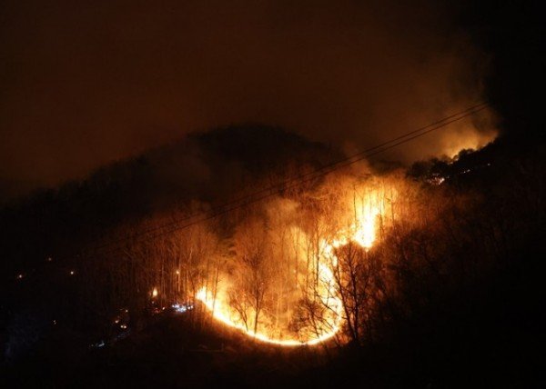 1-2 사진(영양군, 최악의 산불 잡고 감시체제로 전환).jpg