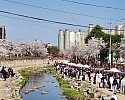 f_9faUd018svc17zupc8dglmzt_tg3zvl.jpg