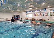 [교육지원과 2025학년도 초등학교 수영실기교육 담당 교사 연수회 개최 (1).jpg