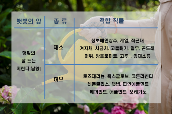 남향.png