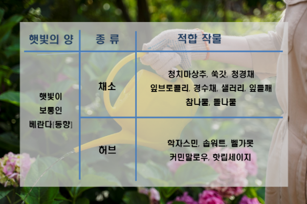 동향.png