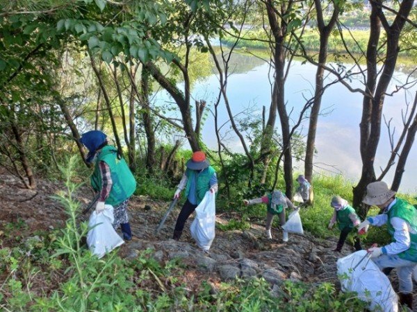 영주-8-2 영주시 평은면 새마을부녀회, 용혈1리 미림교주변 주요 도로변 환경정비 전개.jpeg