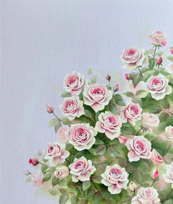 KakaoTalk_20250705_181936158.jpg