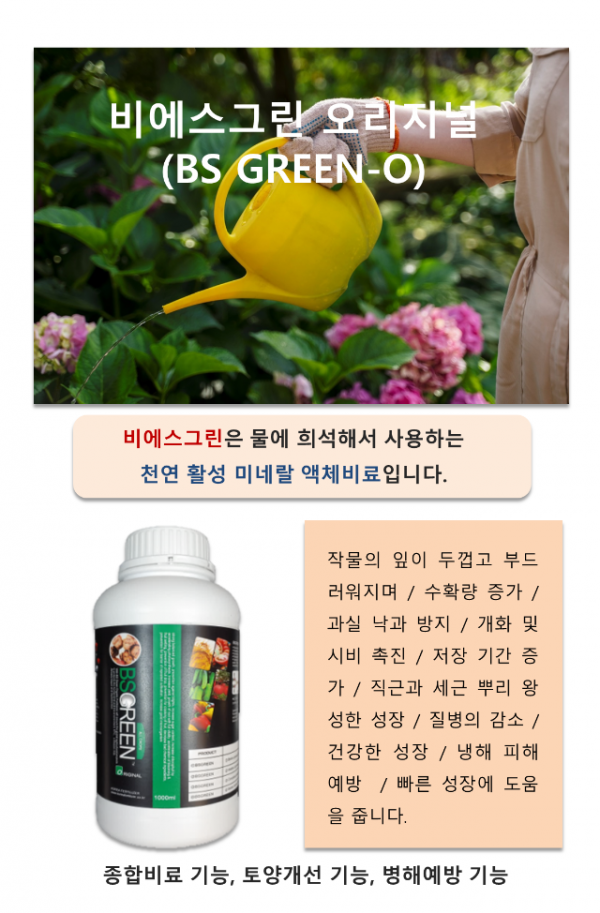 비에스그린 개요 01.png