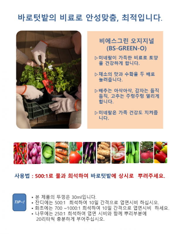 비에스그린 개요 02.png