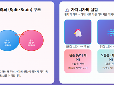스크린샷 2025-09-07 093304.png