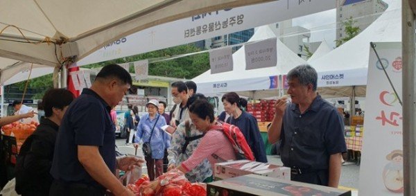 영주-1-1 서울 강남구청 주차장에서 열린 직거래 장터 영주농산물유통센터 부스에서 사람들이 사과를 시식하고 있다).jpg