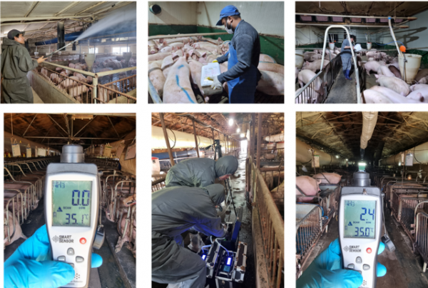 Screenshot 2025-10-20 221930.png