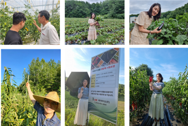 Screenshot 2025-10-20 222004.png