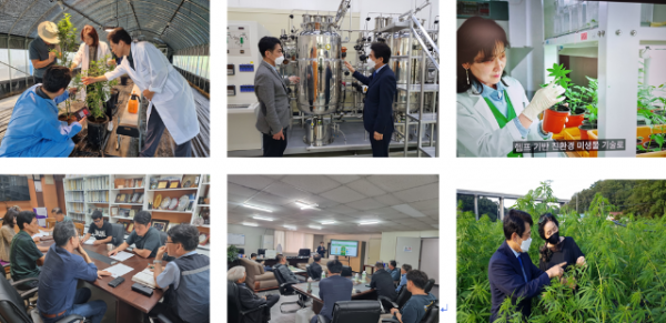 Screenshot 2025-10-20 222158.png