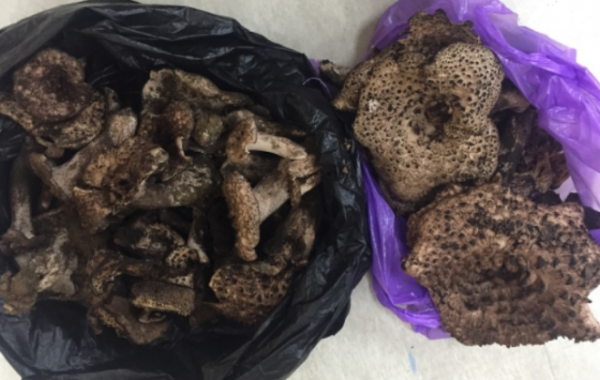 Screenshot 2025-11-03 140941.png