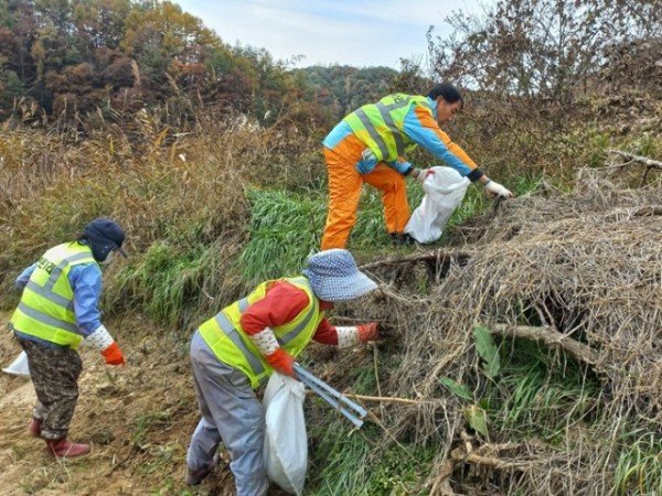 영주-14-3 토일천 하천하구 및 주요도로변 환경정비 실시모습.jpg