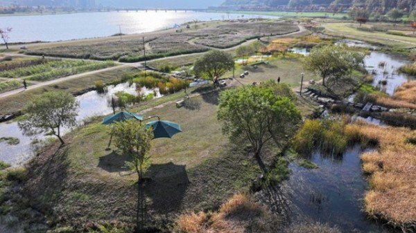 1112 안동시  산림청 ‘정원도시 조성사업’ 선정 (3).JPG