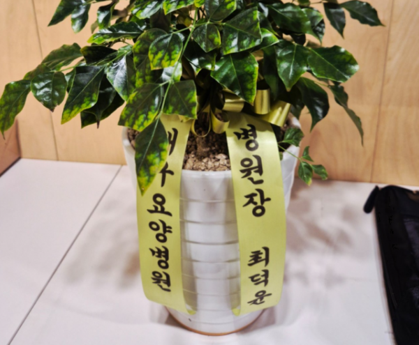 Screenshot 2025-11-13 104948.png