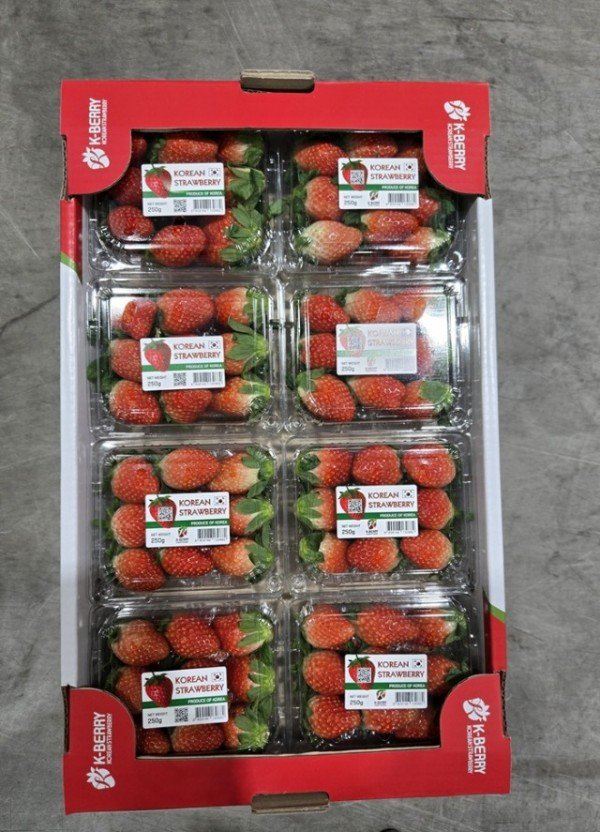 1._수출용_딸기포장.jpg