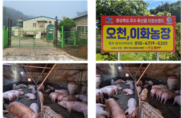 Screenshot 2025-12-02 012527.png