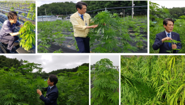 Screenshot 2025-12-06 085721.png