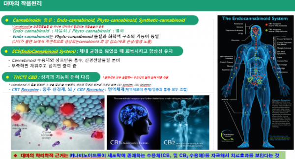 Screenshot 2025-12-06 085734.png