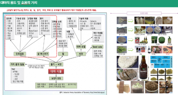 Screenshot 2025-12-06 085743.png